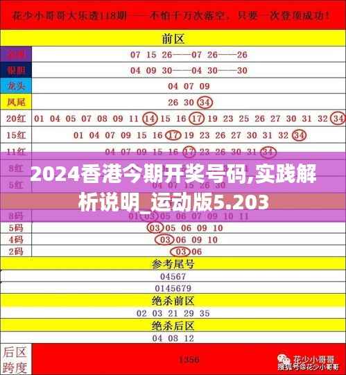 2024香港今期开奖号码,实践解析说明_运动版5.203