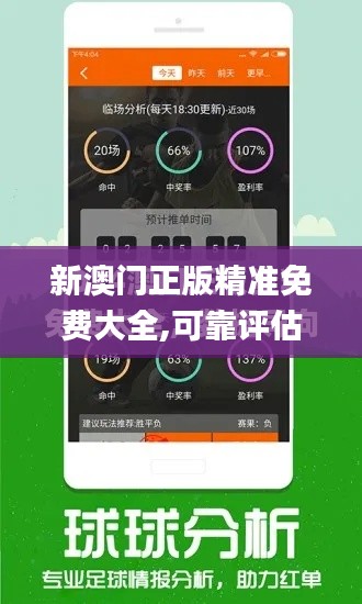 新澳门正版精准免费大全,可靠评估说明_复刻版8.870