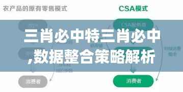 三肖必中特三肖必中,数据整合策略解析_HDR版10.974