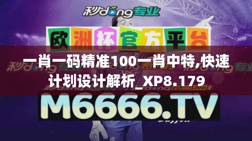 一肖一码精准100一肖中特,快速计划设计解析_XP8.179