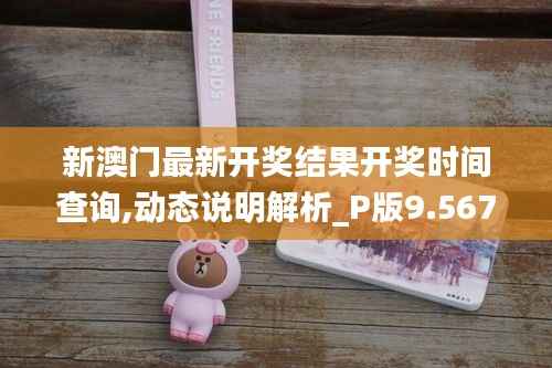 新澳门最新开奖结果开奖时间查询,动态说明解析_P版9.567