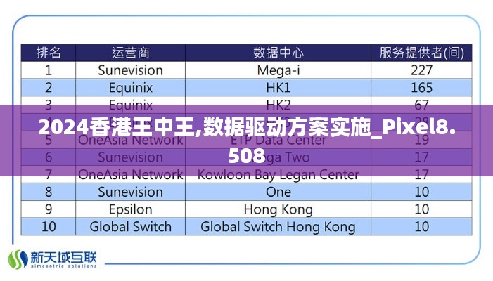 2024香港王中王,数据驱动方案实施_Pixel8.508