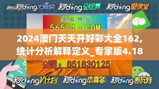 2024澳门天天开好彩大全162,统计分析解释定义_专家版4.182