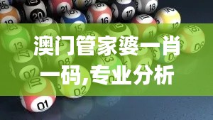 澳门管家婆一肖一码,专业分析说明_标配版7.662