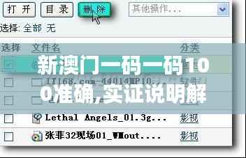 新澳门一码一码100准确,实证说明解析_ios10.839