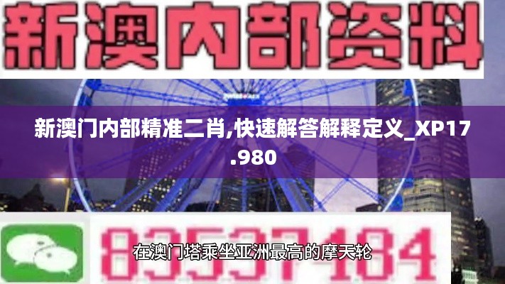 新澳门内部精准二肖,快速解答解释定义_XP17.980