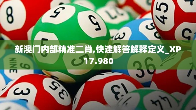 新澳门内部精准二肖,快速解答解释定义_XP17.980