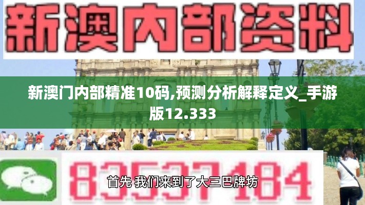 新澳门内部精准10码,预测分析解释定义_手游版12.333