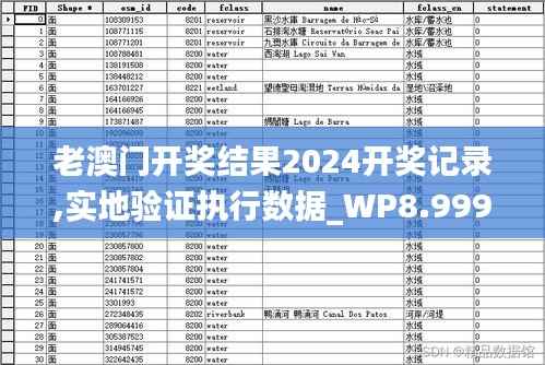 老澳门开奖结果2024开奖记录,实地验证执行数据_WP8.999