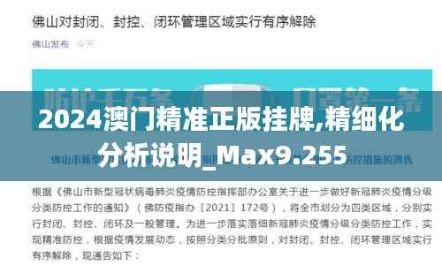 2024澳门精准正版挂牌,精细化分析说明_Max9.255