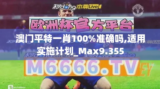 澳门平特一肖100%准确吗,适用实施计划_Max9.355