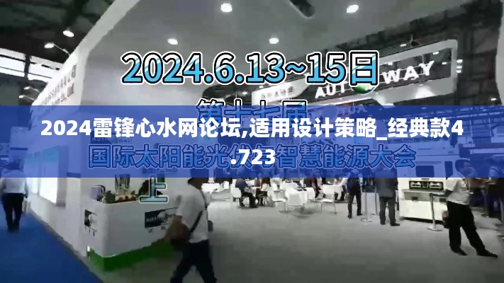 2024雷锋心水网论坛,适用设计策略_经典款4.723