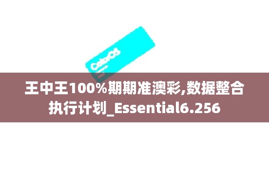 王中王100%期期准澳彩,数据整合执行计划_Essential6.256