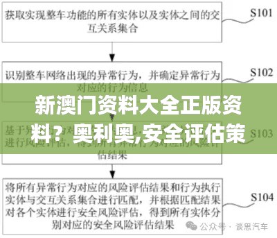 新澳门资料大全正版资料？奥利奥,安全评估策略_5DM1.917