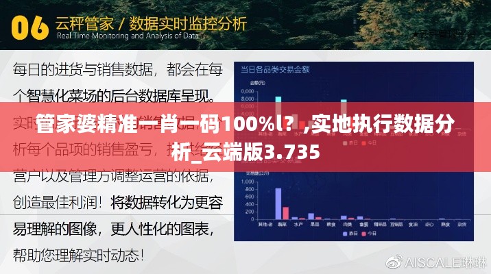 管家婆精准一肖一码100%l？,实地执行数据分析_云端版3.735