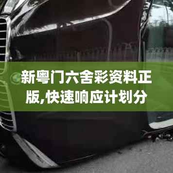 新粤门六舍彩资料正版,快速响应计划分析_创新版9.579
