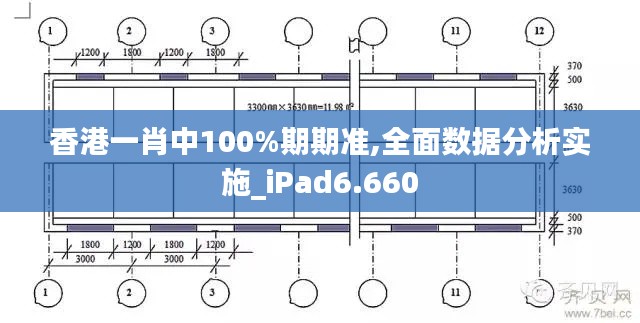香港一肖中100%期期准,全面数据分析实施_iPad6.660