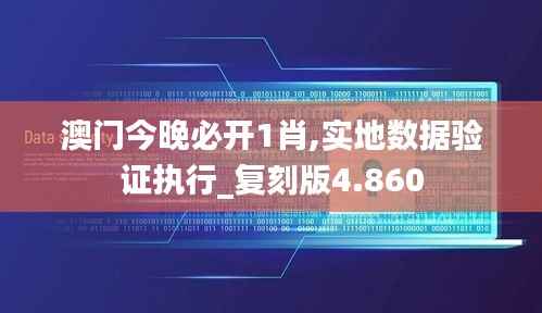 澳门今晚必开1肖,实地数据验证执行_复刻版4.860