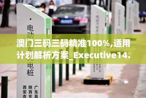 澳门三码三码精准100%,适用计划解析方案_Executive14.294
