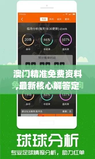 澳门精准免费资料,最新核心解答定义_WP版4.873