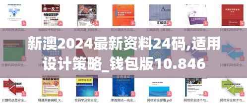 新澳2024最新资料24码,适用设计策略_钱包版10.846