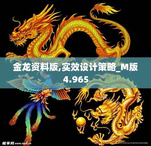 金龙资料版,实效设计策略_M版4.965