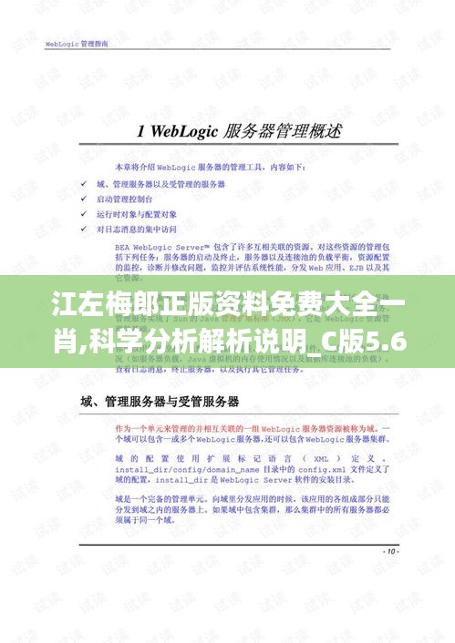 江左梅郎正版资料免费大全一肖,科学分析解析说明_C版5.667