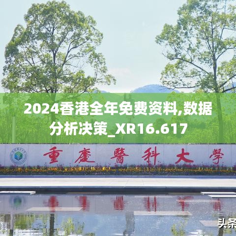 2024香港全年免费资料,数据分析决策_XR16.617