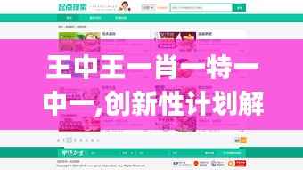 王中王一肖一特一中一,创新性计划解析_网页款2.689