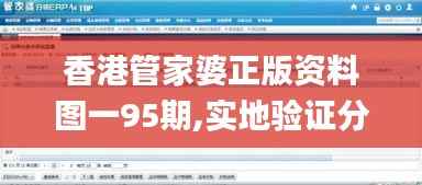 香港管家婆正版资料图一95期,实地验证分析策略_1080p4.950