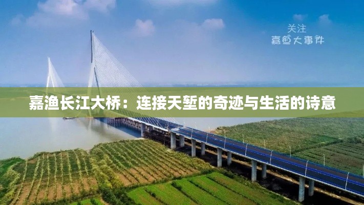 嘉渔长江大桥：连接天堑的奇迹与生活的诗意