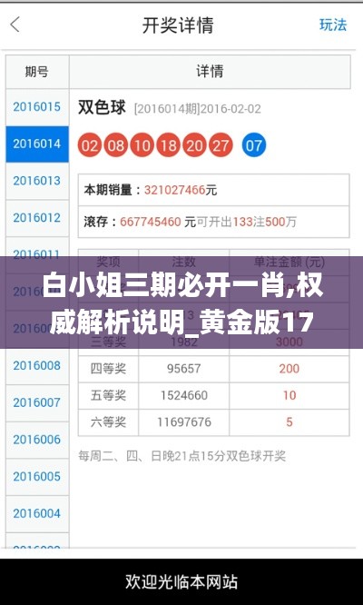 白小姐三期必开一肖,权威解析说明_黄金版17.351
