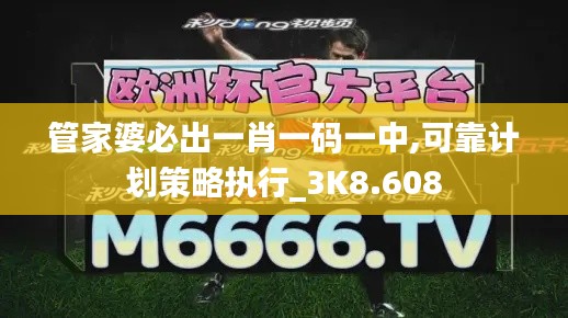 管家婆必出一肖一码一中,可靠计划策略执行_3K8.608