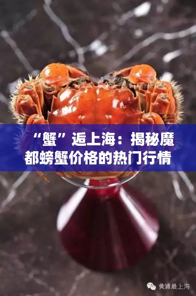 “蟹”逅上海:揭秘魔都螃蟹价格的热门行情