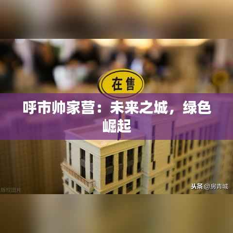 呼市帅家营:未来之城,绿色崛起