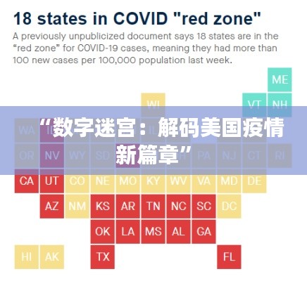 “数字迷宫:解码美国疫情新篇章”