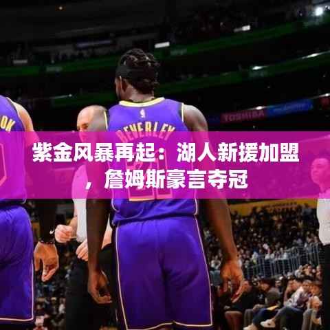 紫金风暴再起:湖人新援加盟,詹姆斯豪言夺冠