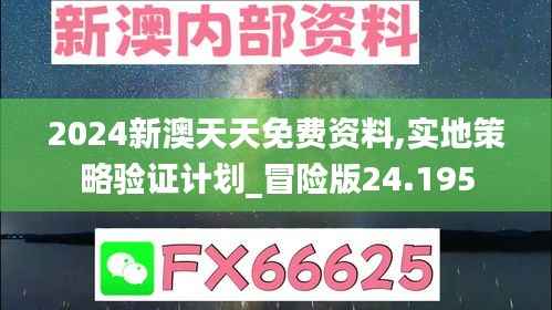 2024新澳天天免费资料,实地策略验证计划_冒险版24.195