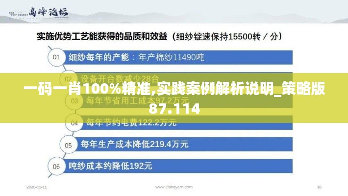 一码一肖100%精准,实践案例解析说明_策略版87.114