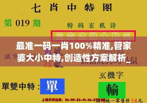 最准一码一肖100%精准,管家婆大小中特,创造性方案解析_静态版19.155