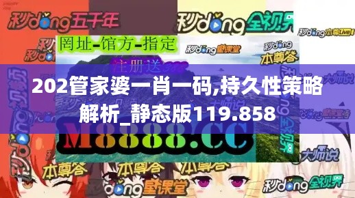 202管家婆一肖一码,持久性策略解析_静态版119.858