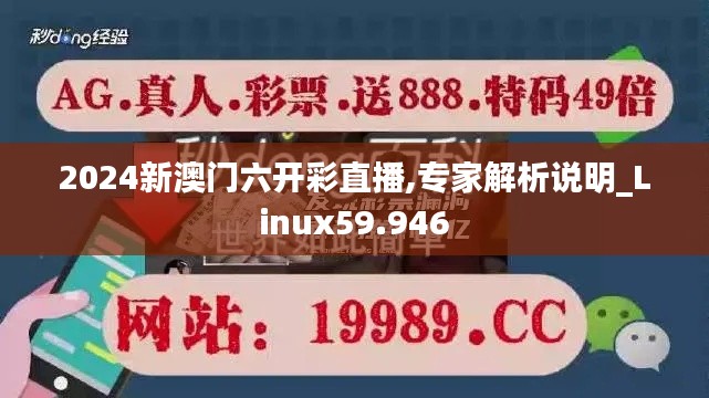 2024新澳门六开彩直播,专家解析说明_Linux59.946