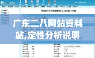 广东二八网站资料站,定性分析说明_FT32.697