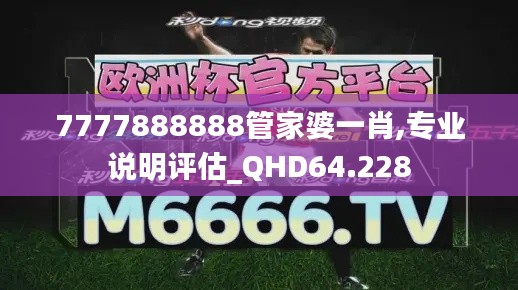 7777888888管家婆一肖,专业说明评估_QHD64.228