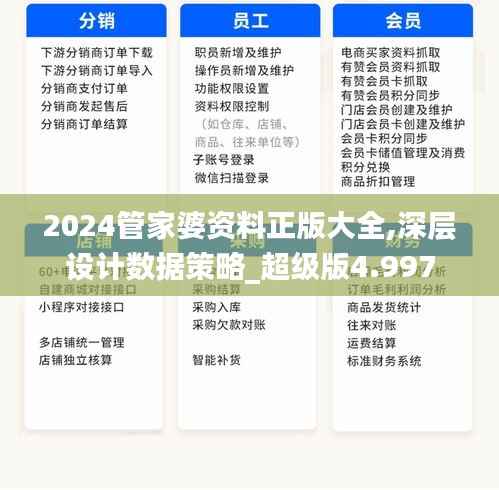2024管家婆资料正版大全,深层设计数据策略_超级版4.997