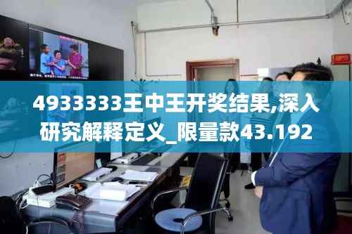 4933333王中王开奖结果,深入研究解释定义_限量款43.192