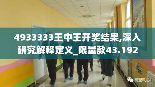 4933333王中王开奖结果,深入研究解释定义_限量款43.192