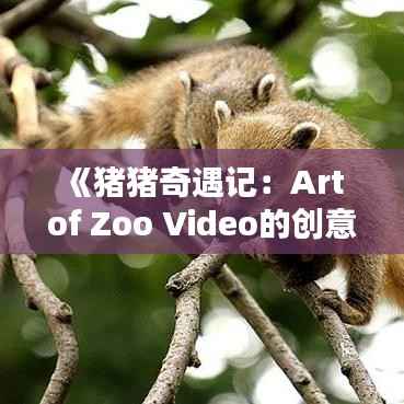 《猪猪奇遇记：Art of Zoo Video的创意新篇章》