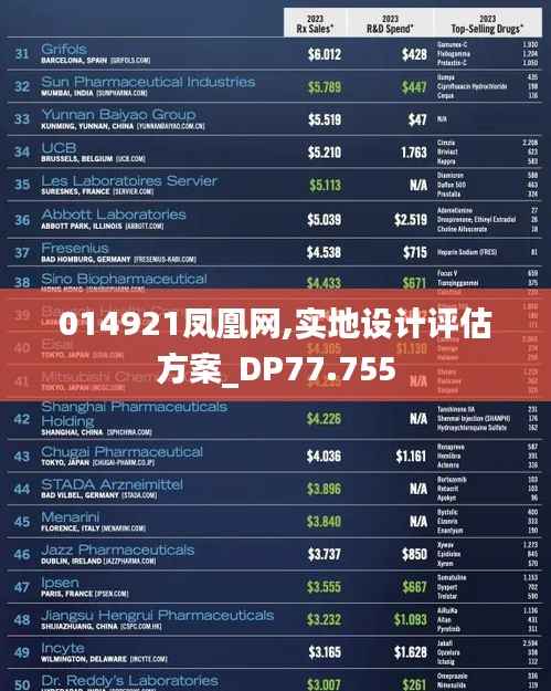 014921凤凰网,实地设计评估方案_DP77.755