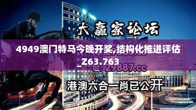 4949澳门特马今晚开奖,结构化推进评估_Z63.763